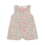 1fedbfaa43c942267d6ba6526996ebd5