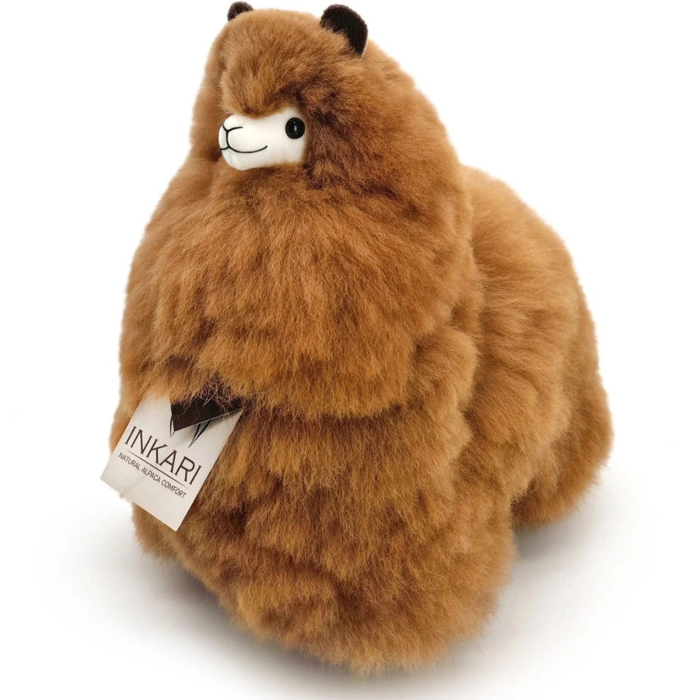 76d1acd6fc5f9f24c90522f0dad8a386