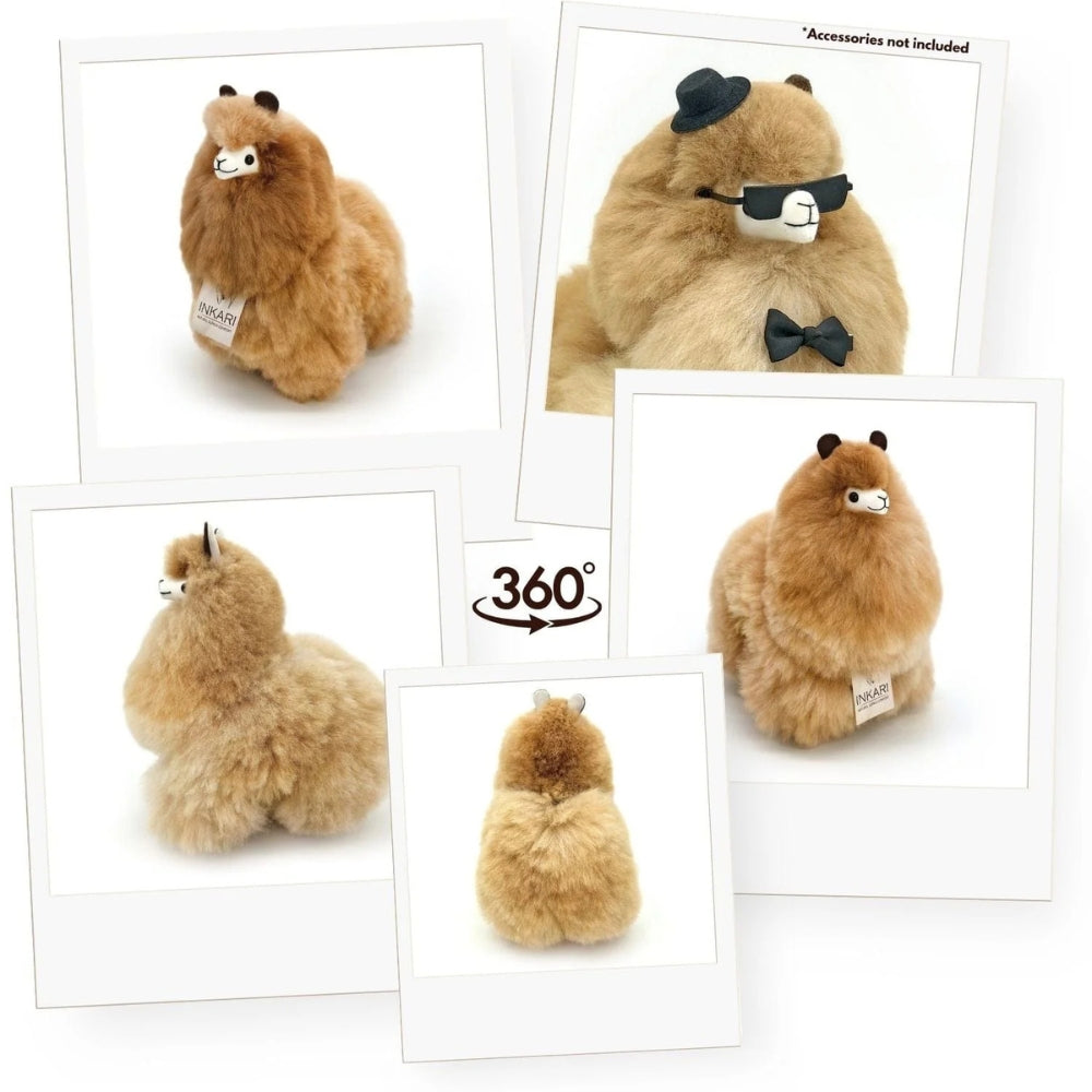 76e2b8184a05a119ef082fb4c3bcebb9