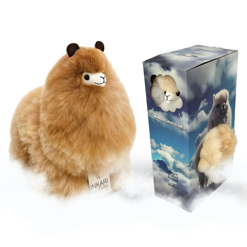 02d1a1e71061e49d423a4f2f28f7767d