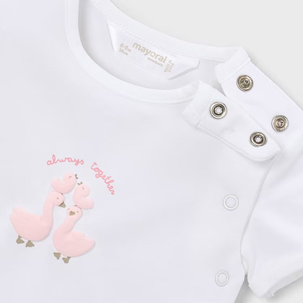 e6c30d99d3917fbd26f374d075ec84d5