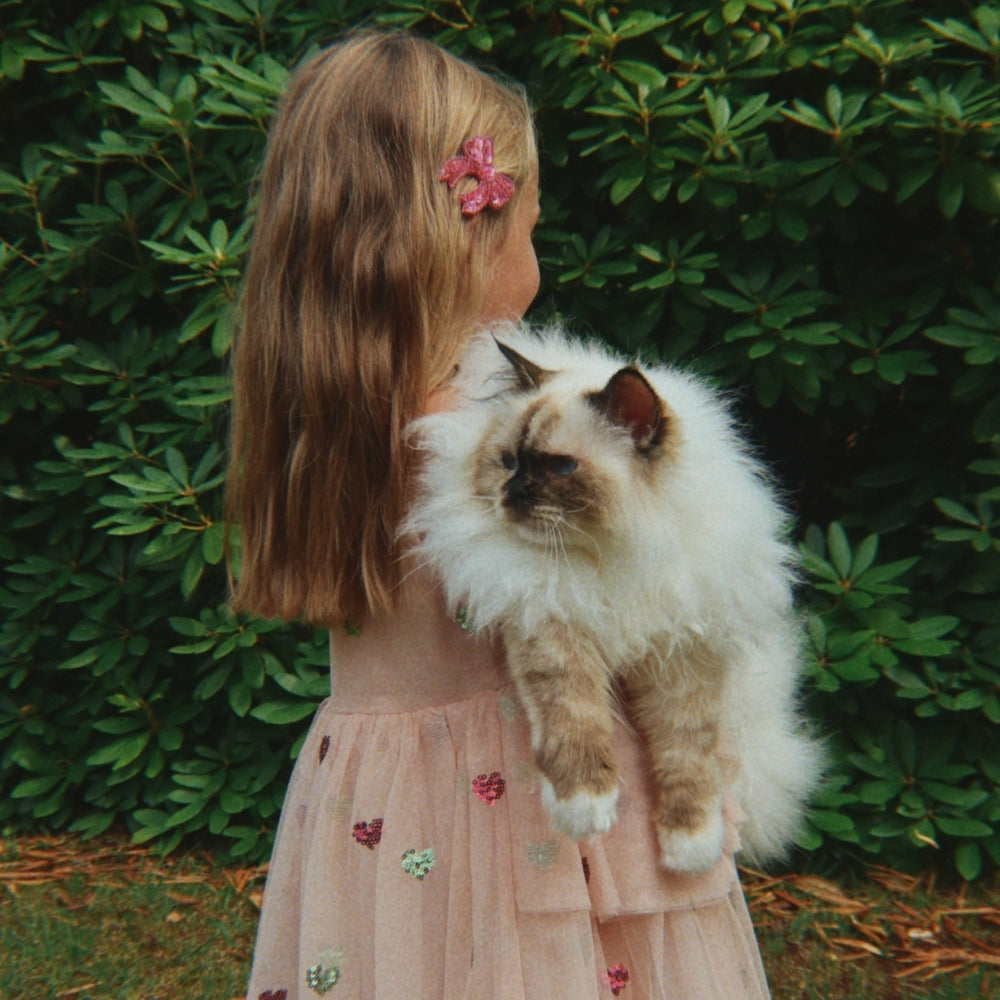 1ce39aa964245c44ffdbe7f9b7731bec