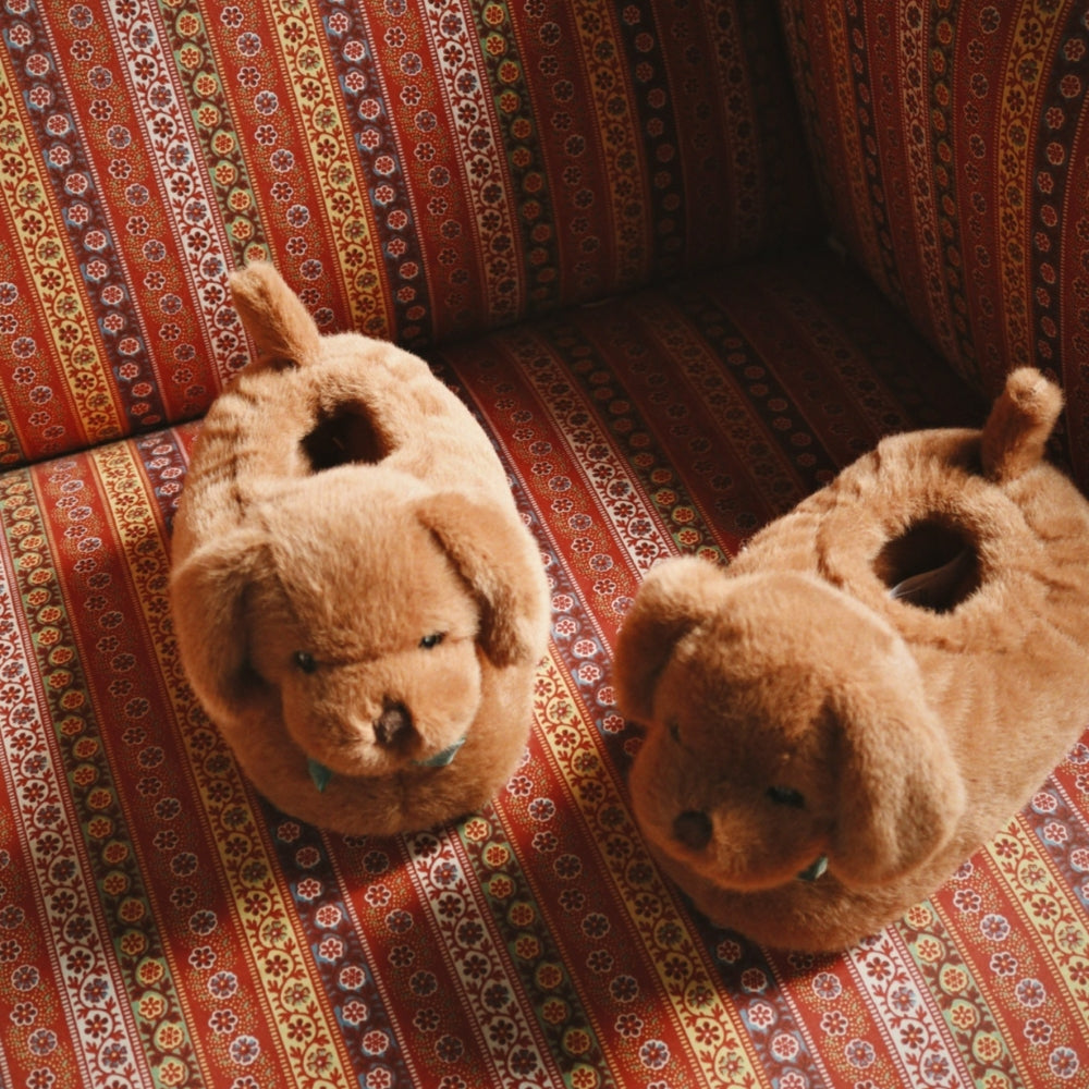 ac6f59c131ea91d527a3949c58101ff2