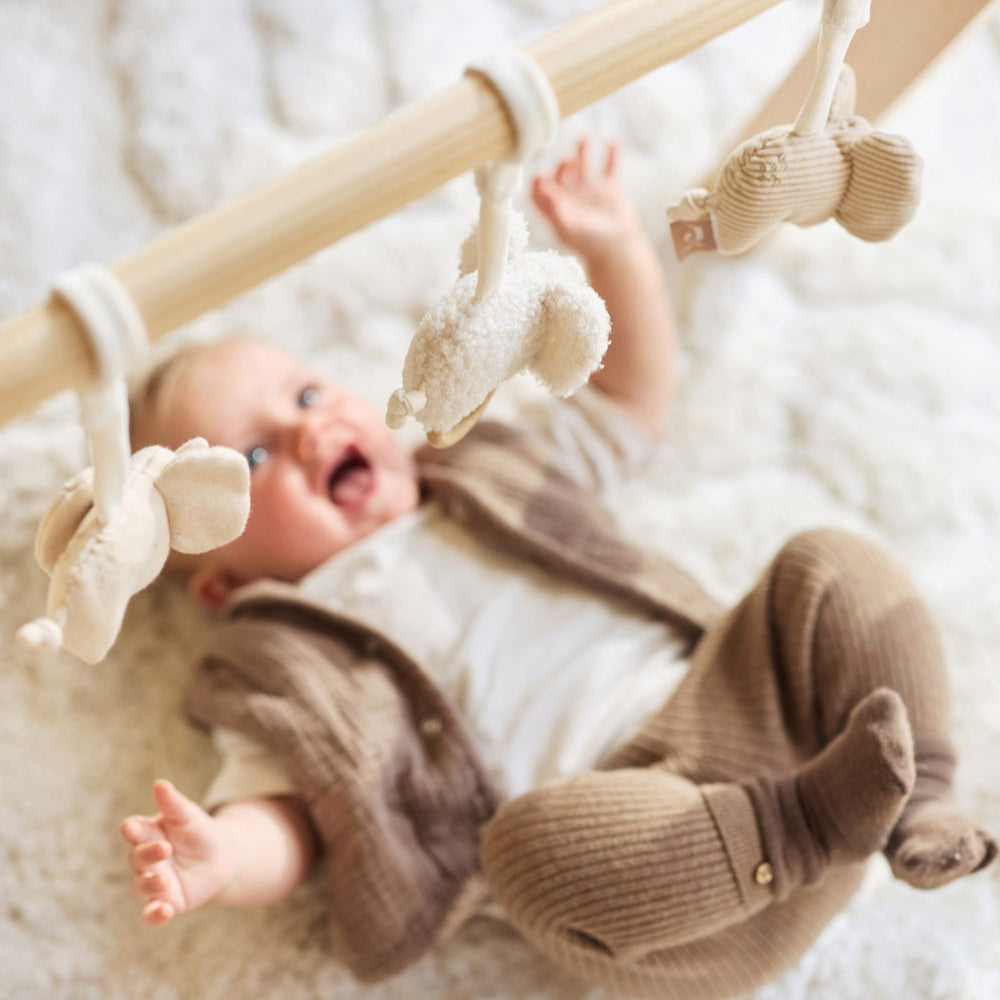 15503f86a5475ce7c64b0905d5889f76