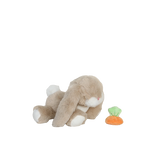 Obrázok snímky