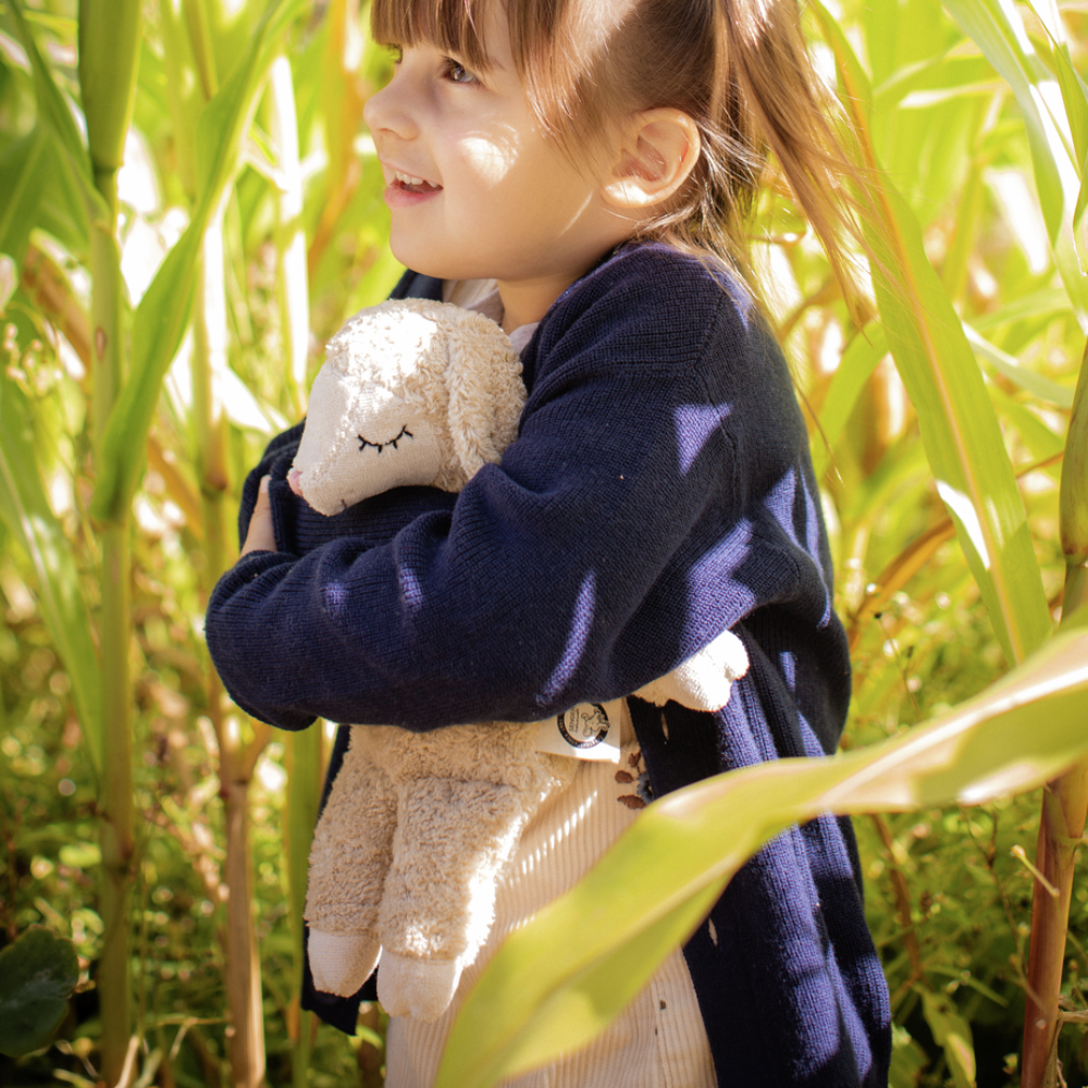 5d80dd5cb311d3774fe216888a094751