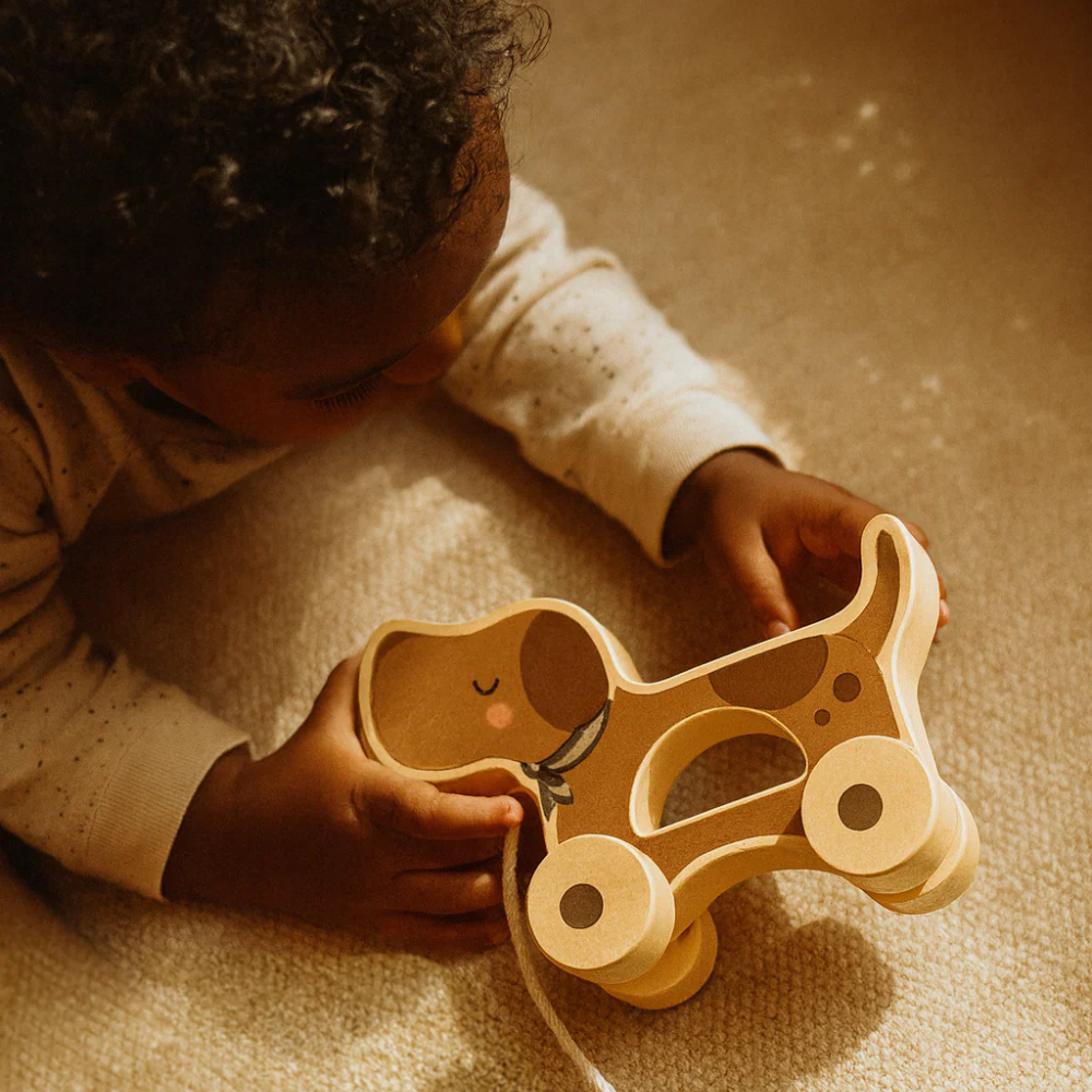 529cdde97ae2674855b9a7b54247c7cc