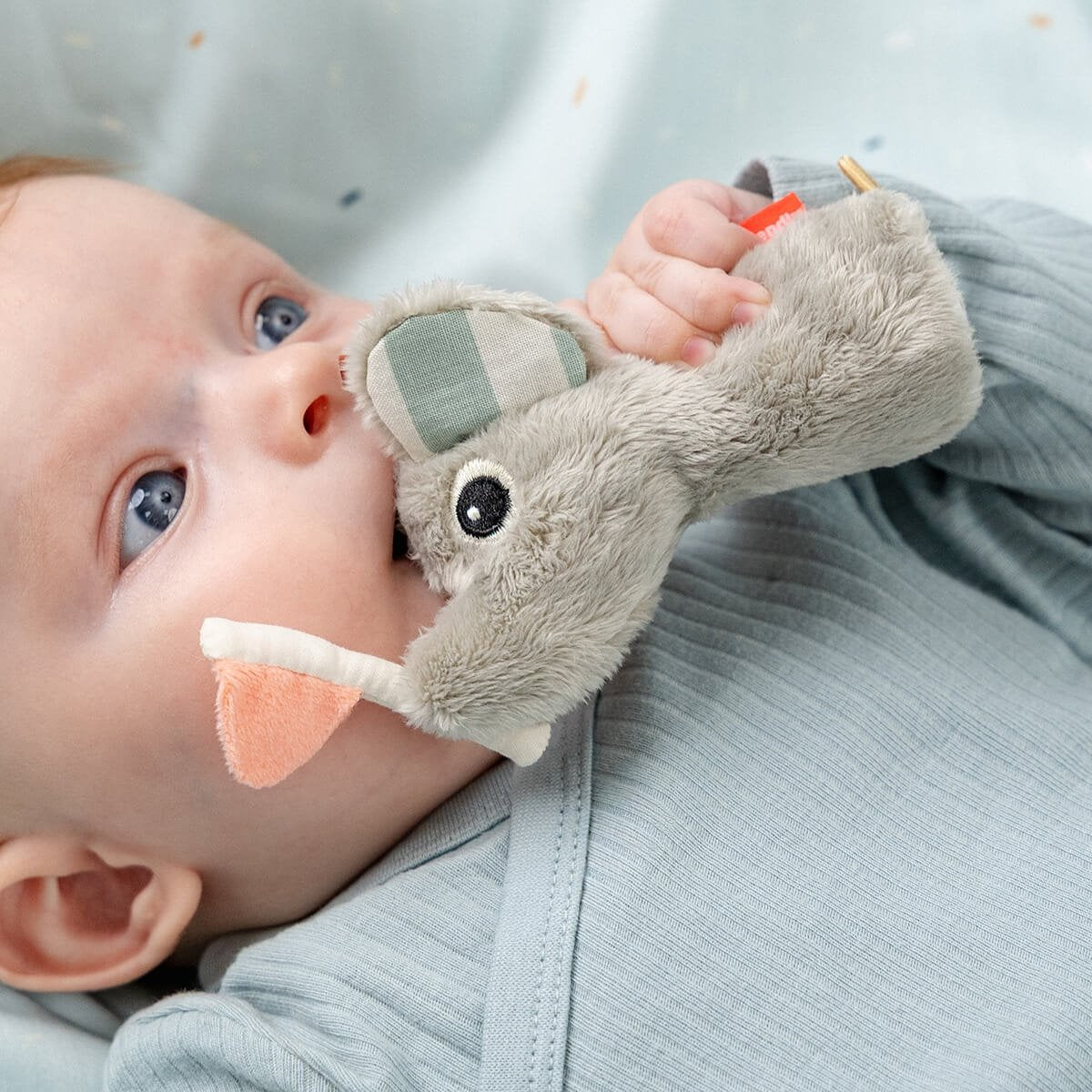 27afc12e8cfafc1a9d53efd3a91854c2