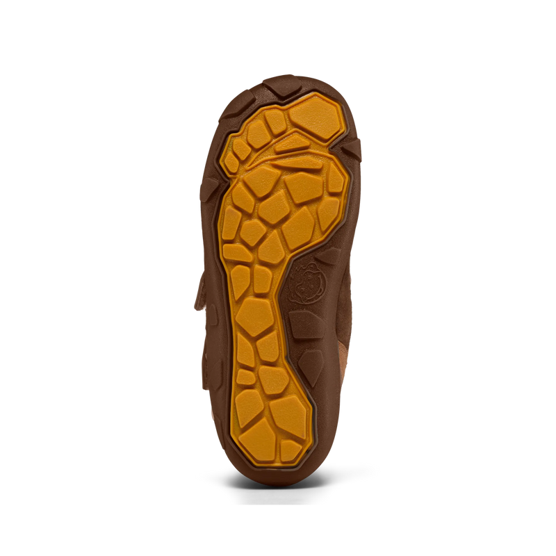 Obrázok snímky