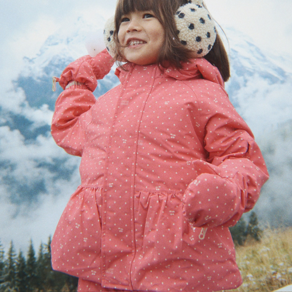 Obrázok snímky